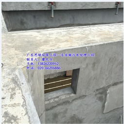 思绿环保 化州人工湿地废水处理工程，科技与自然共筑绿水青山